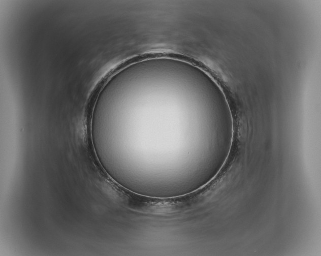 X0000112531167200908241501