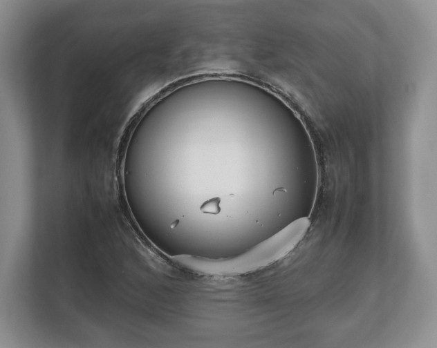X0000112531168200908241501
