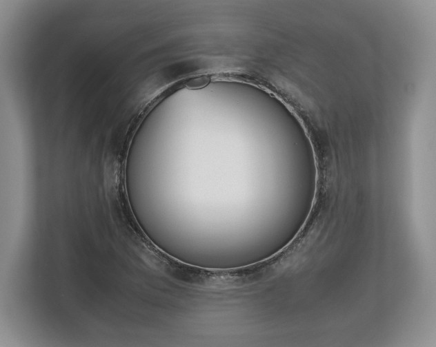 X0000112531169200908241501