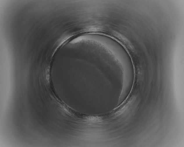X0000112531170200908241501