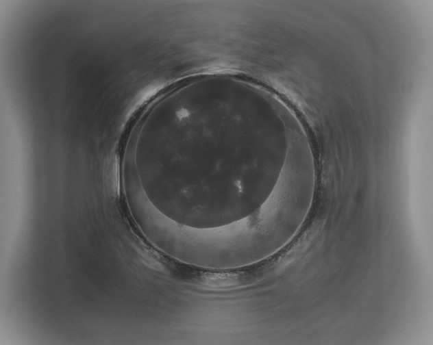 X0000112531171200908241501