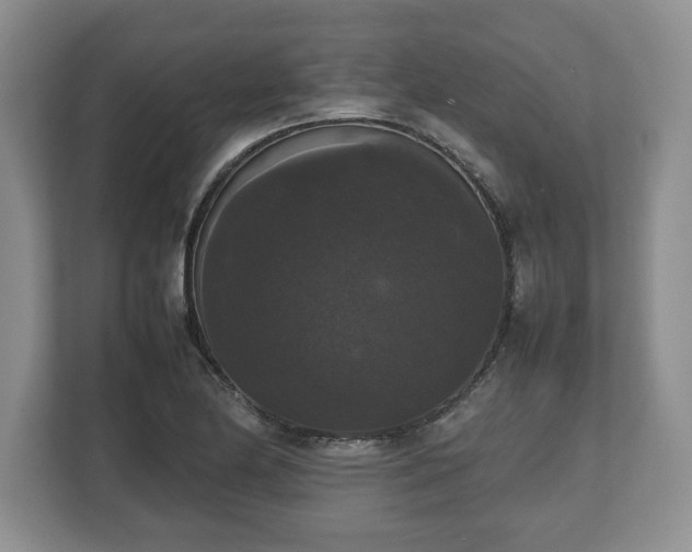 X0000112531174200908241501