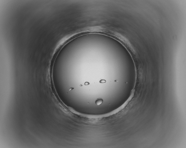 X0000112531176200908241501