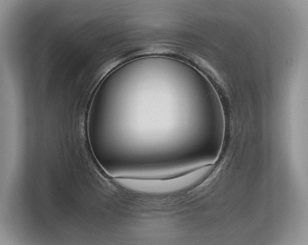 X0000112531177200908241501