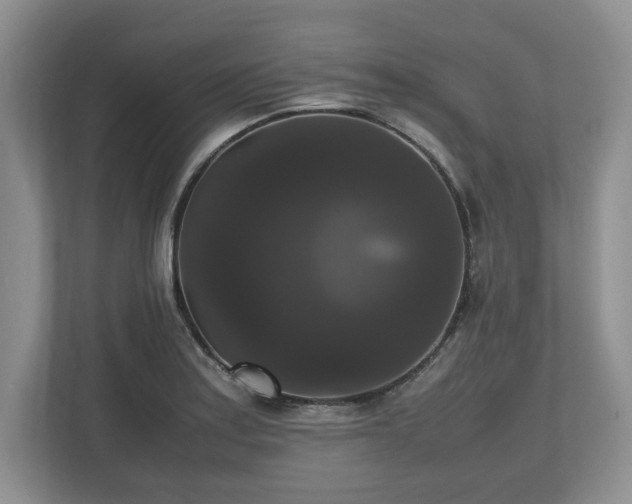 X0000112531179200908241501
