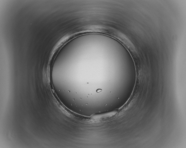 X0000112531180200908241500