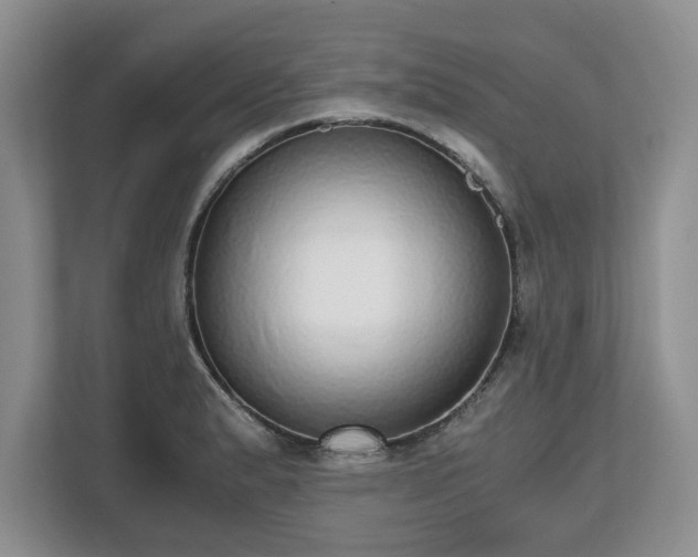 X0000112531183200908241500