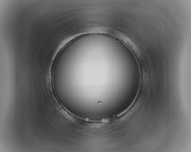 X0000112531184200908241500