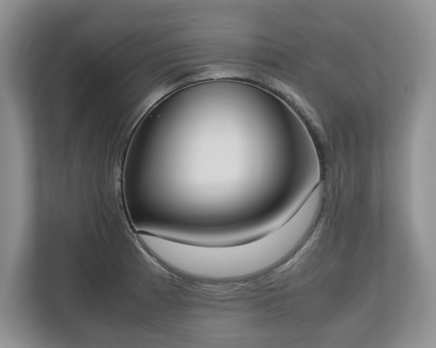 X0000112531185200908241500