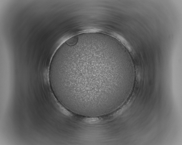 X0000112531186200908241500