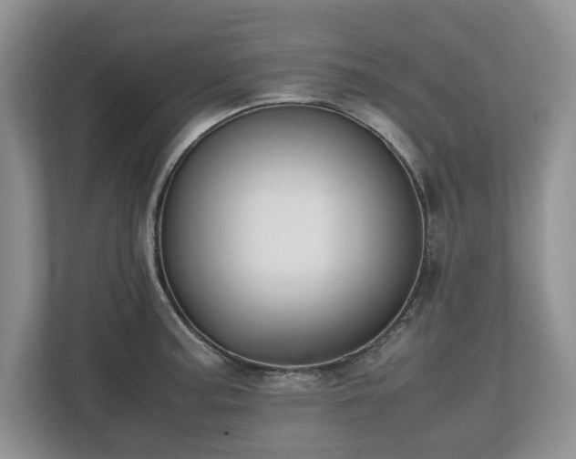 X0000112531187200908241500