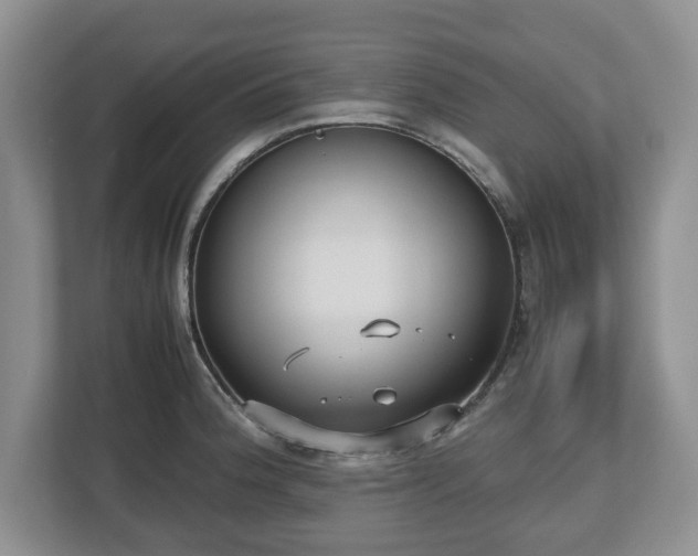 X0000112531188200908241500