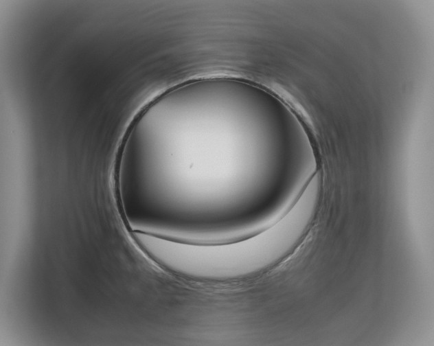X0000112531189200908241500
