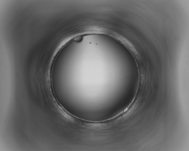 X0000112531192200908241500