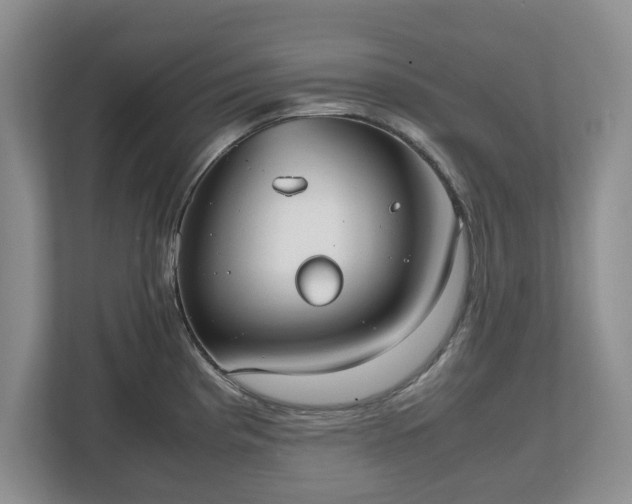 X0000112531193200908241500