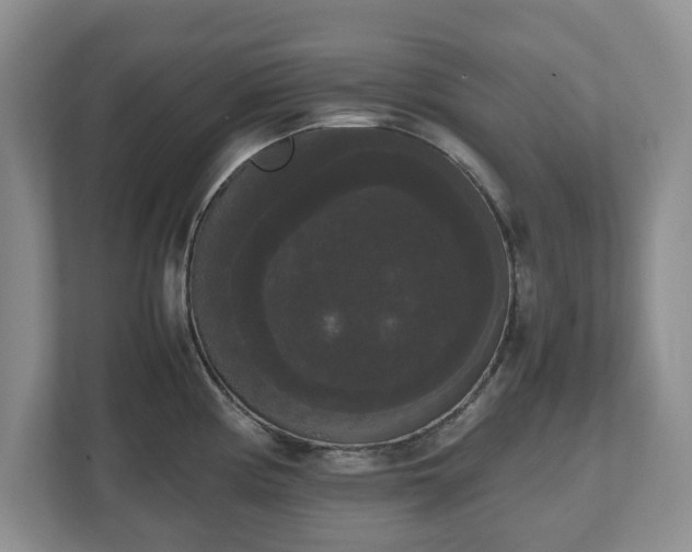 X0000112531194200908241500