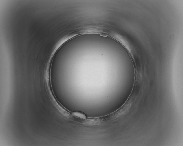 X0000112531195200908241500