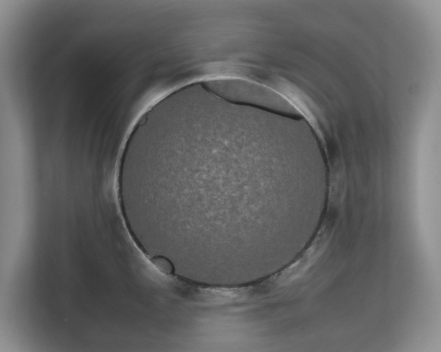 X0000112531197200908241500