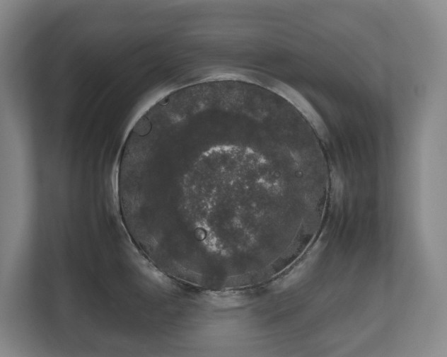 X0000112531198200908241500