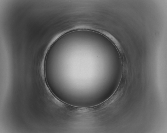 X0000112531199200908241500