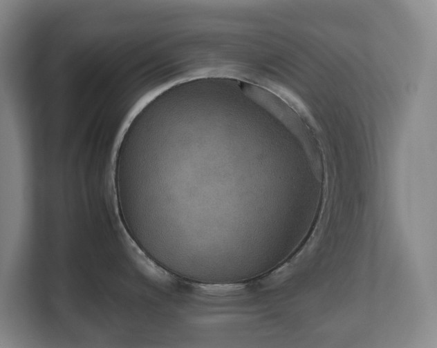 X0000112531200200908241500