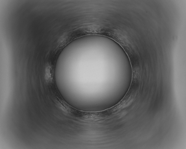 X0000112531202200908241500