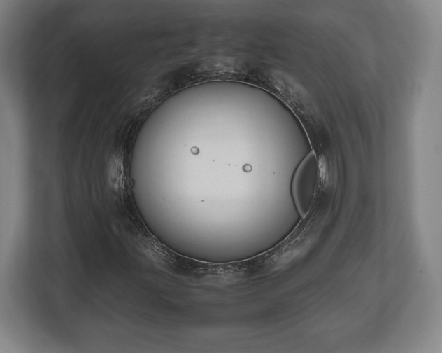 X0000112531203200908241500