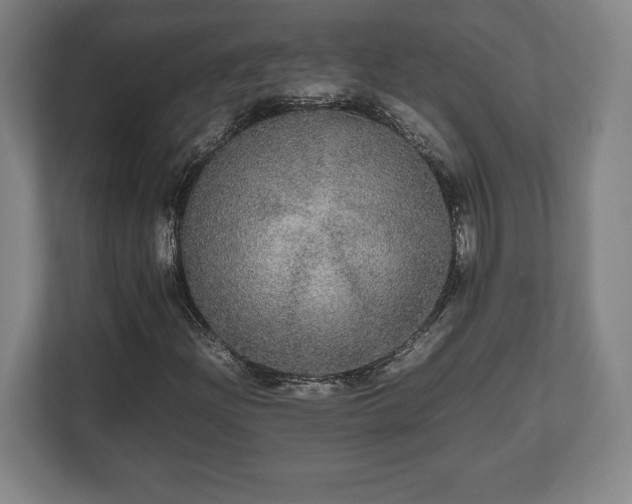 X0000112531204200908241500