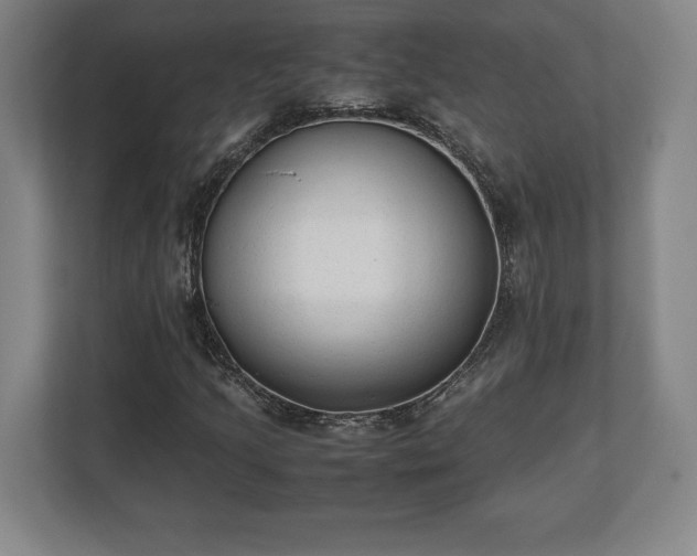 X0000112531205200908241500