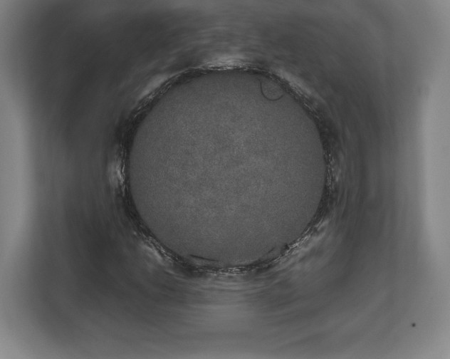 X0000112531206200908241500