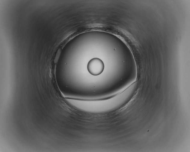 X0000112531209200908241500