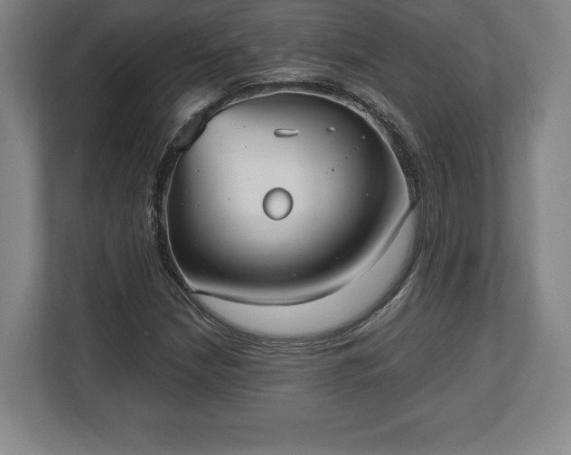 X0000112531210200908241500