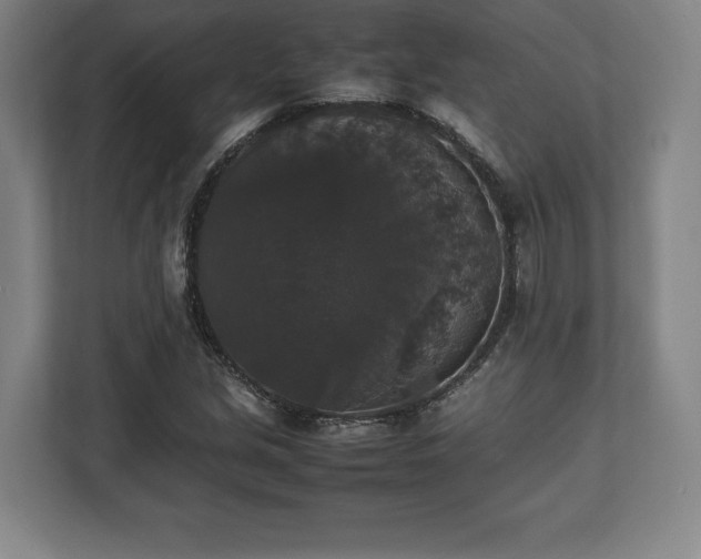 X0000112531213200908241500