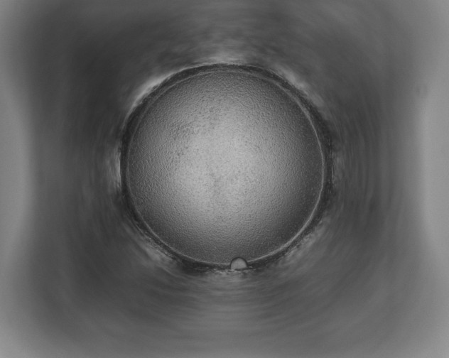 X0000112531214200908241500