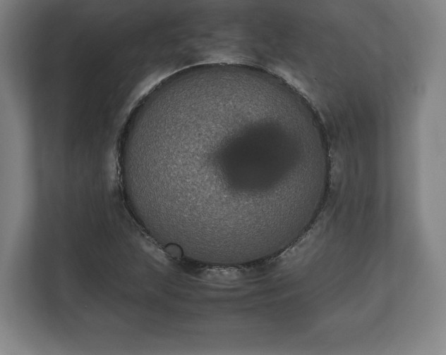 X0000112531215200908241500
