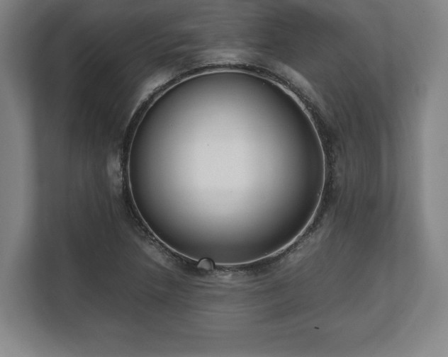 X0000112531218200908241500