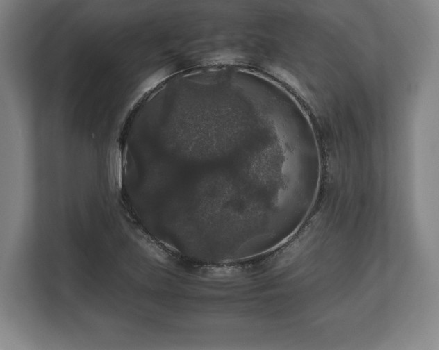 X0000112531219200908241500
