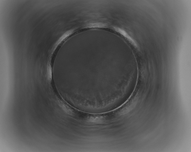 X0000112531221200908241500