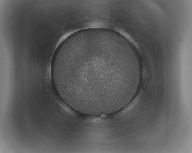 X0000112531222200908241500