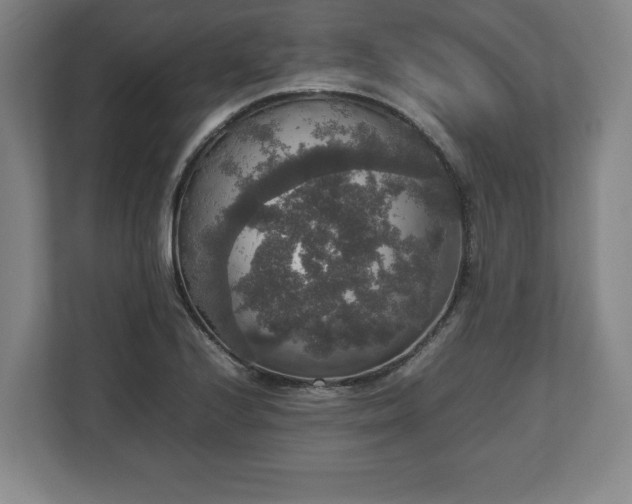 X0000112531224200908241500