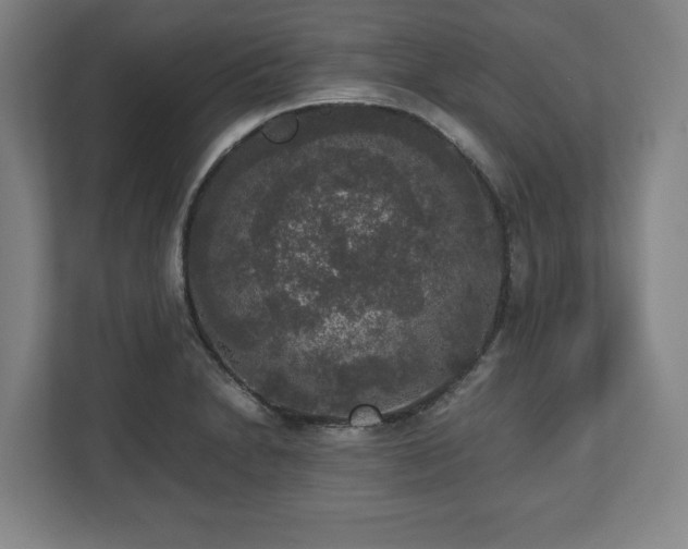 X0000112531230200908241500