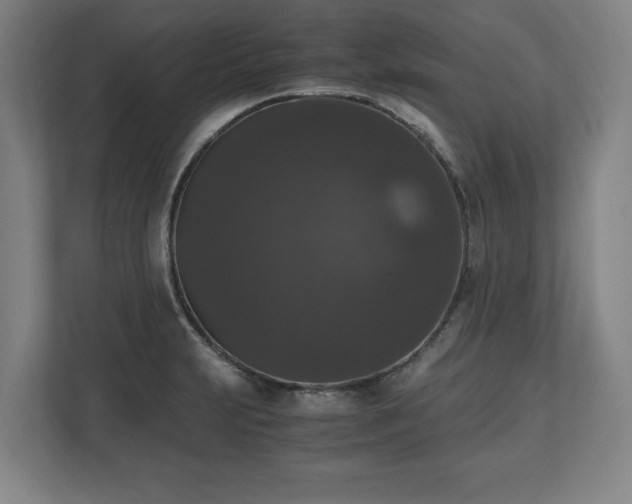X0000112531231200908241500