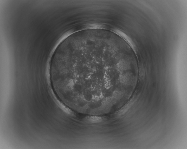 X0000112531235200908241500