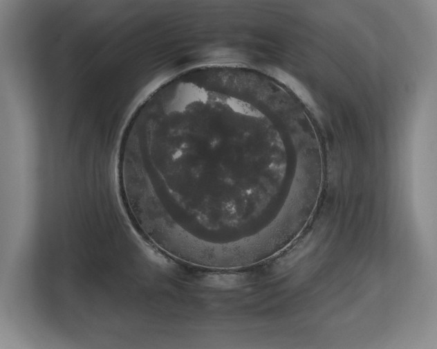 X0000112531237200908241500