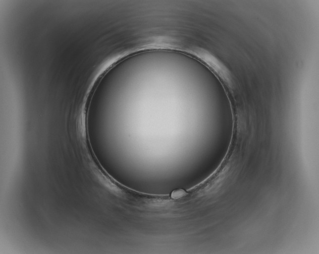 X0000112531238200908241500