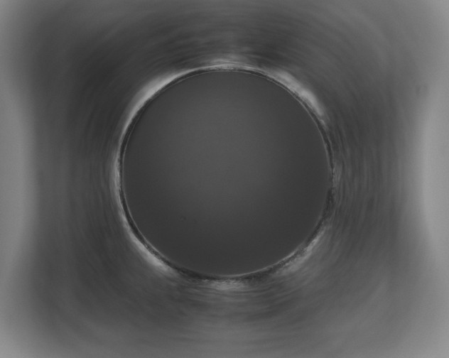 X0000112531239200908241500
