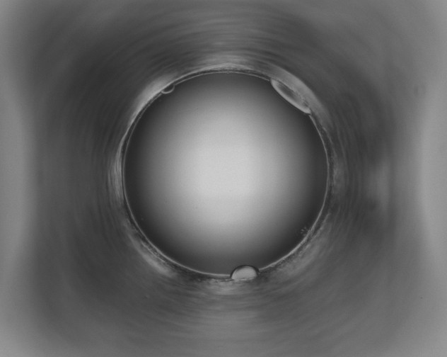 X0000112531242200908241500