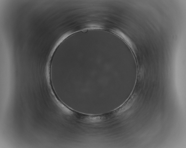 X0000112531243200908241500
