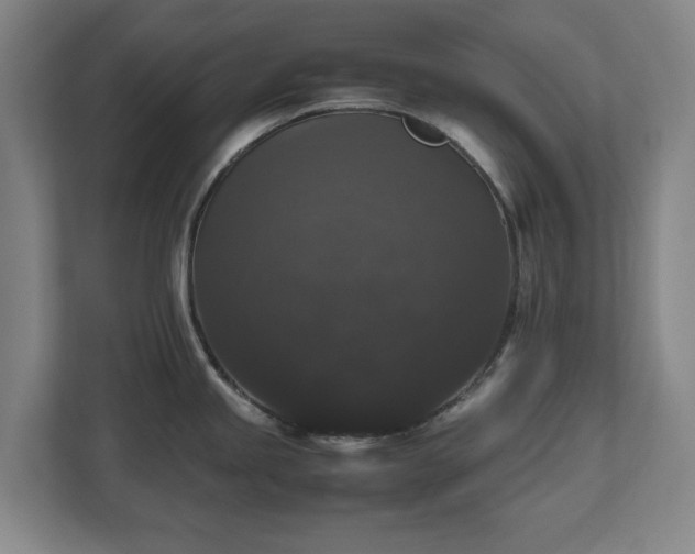 X0000112531245200908241500
