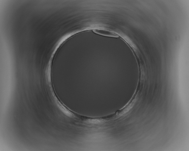 X0000112531246200908241500